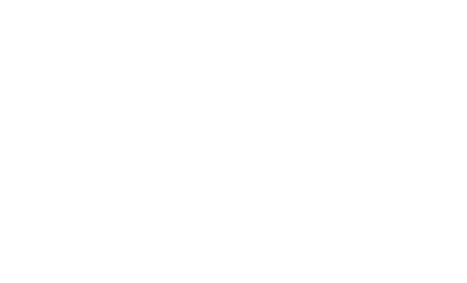Next.js